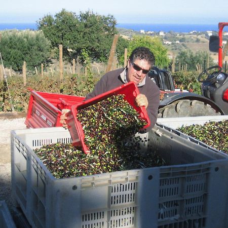 L'Orso E L'Ape B&B Giulianova Zewnętrze zdjęcie
