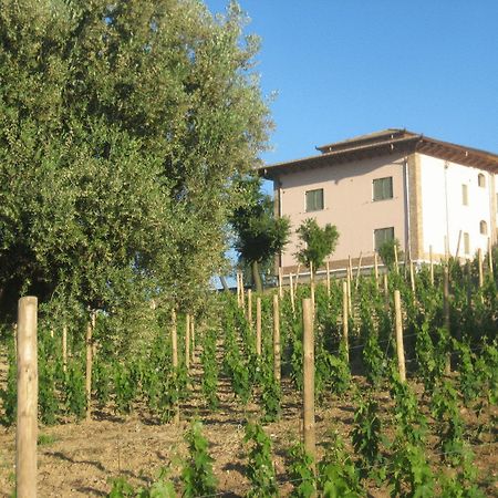 L'Orso E L'Ape B&B Giulianova Zewnętrze zdjęcie