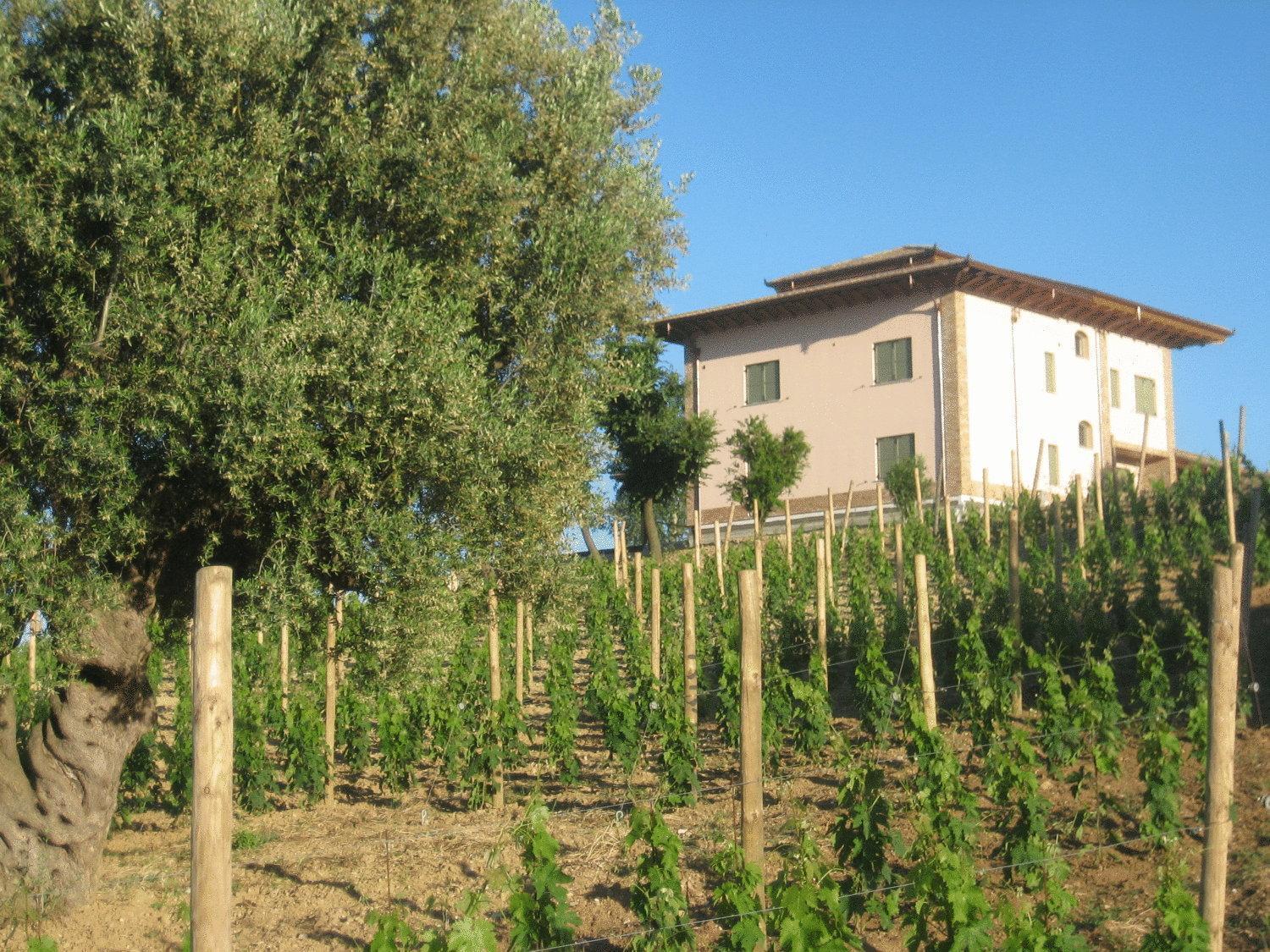 L'Orso E L'Ape B&B Giulianova Zewnętrze zdjęcie