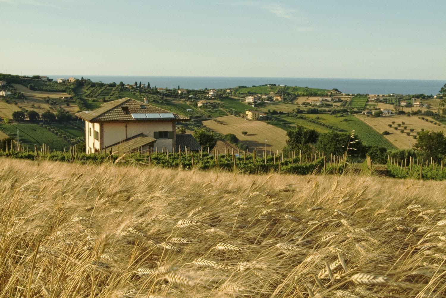 L'Orso E L'Ape B&B Giulianova Zewnętrze zdjęcie
