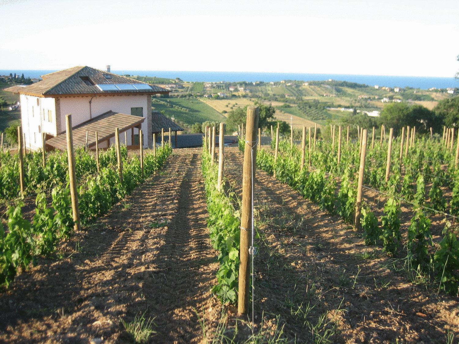 L'Orso E L'Ape B&B Giulianova Zewnętrze zdjęcie