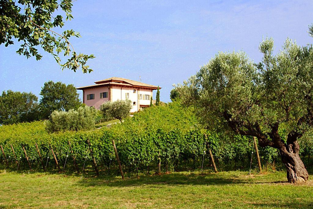 L'Orso E L'Ape B&B Giulianova Zewnętrze zdjęcie