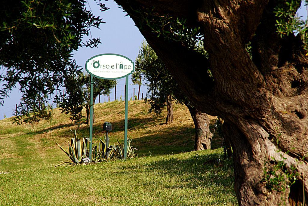 L'Orso E L'Ape B&B Giulianova Zewnętrze zdjęcie
