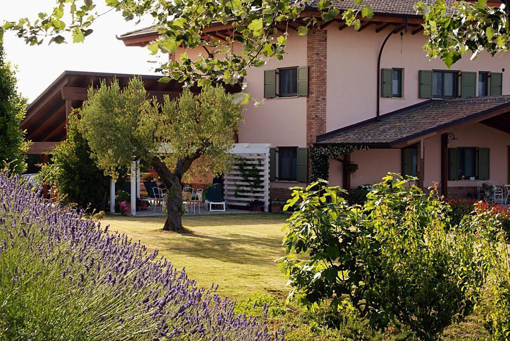 L'Orso E L'Ape B&B Giulianova Zewnętrze zdjęcie
